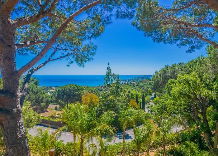 Azureenne De La Nartelle * サント・マキシム